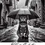 Il Gatto Ombrellaio