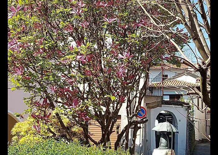 Il Gatto Ombrellaio - Gateway To Stresa, Maggiore And Mountains 度假居 Stropino
